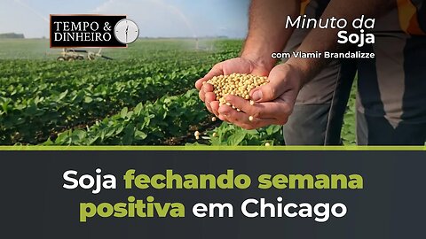 Soja fechando semana positiva em Chicago