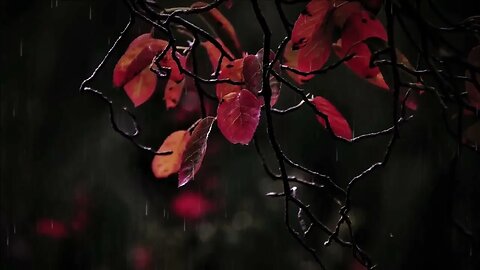 Le son de la pluie - aide contre la dépression