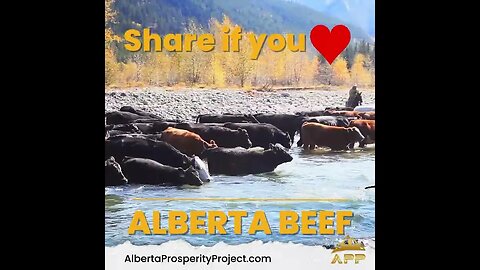 We love Alberta Beef