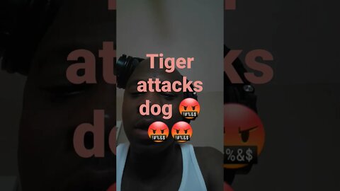 Tiger attacks dog