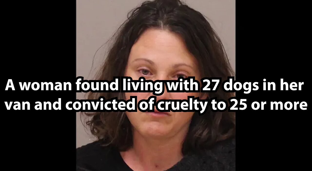 A woman found living with 27 dogs in her van and convicted of cruelty to 25 or more