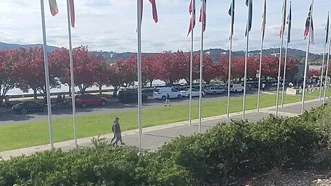 Forrest of the Fallen. Canberra Markets.