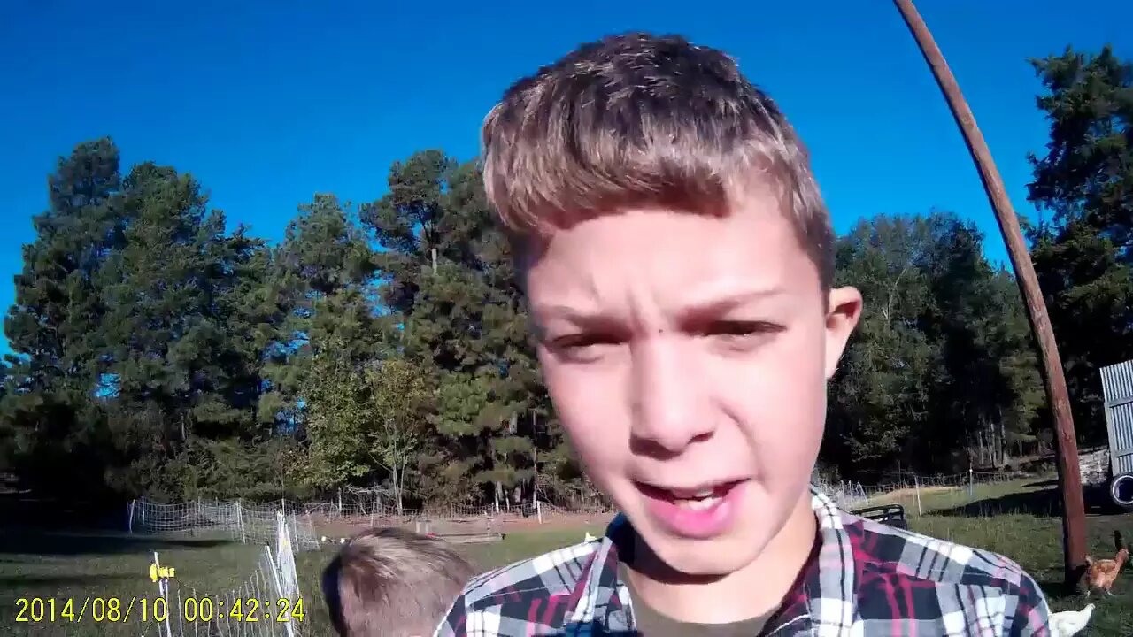 Crazy Day on the homestead