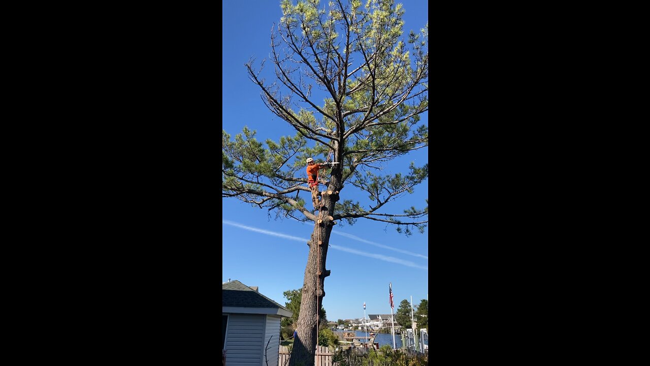Climbing and cutting