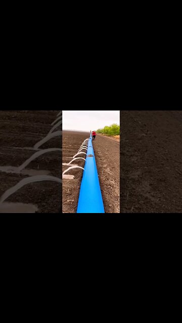 Most Amazing and trending video||relaxing your mind||trendig videos|| #shorts #trending #viral #live