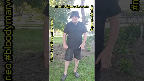 maurieo #shorts ANOTHER BLOODYMARVELLOUS DAY ENDS