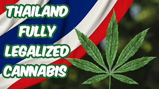 Thailand Fully Legalized Cannabis! Everything You Need To Know!