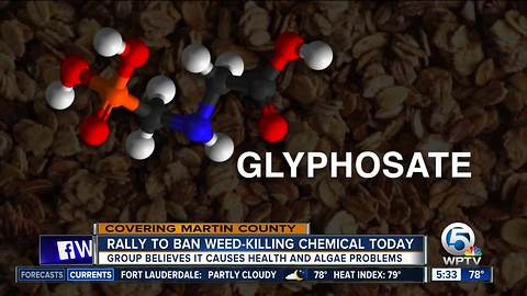 Rally to ban weed-killing chemical held today