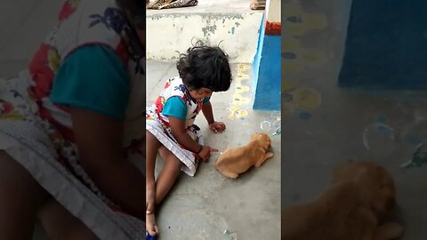 #shorts #viral #ytshorts baby playing with puppy 😆😆