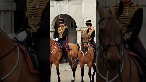 King's guard squashed between the horses #horseguardsparade