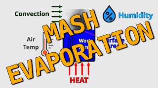 Mash Evaporation Rate: An Experiment