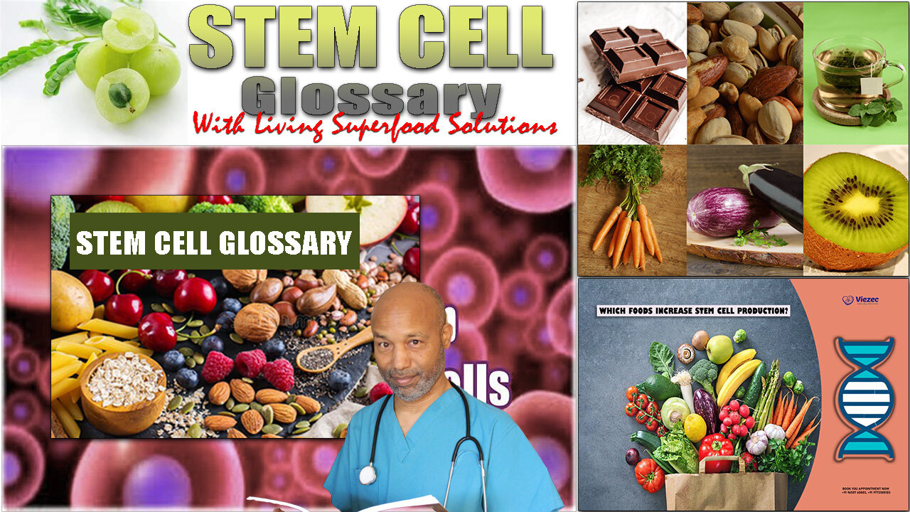 Stem Cell Glossary