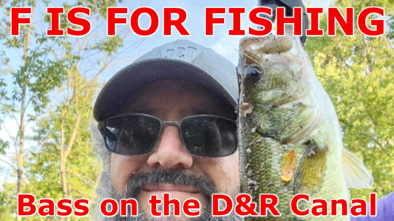 Bass on the D&R Canal