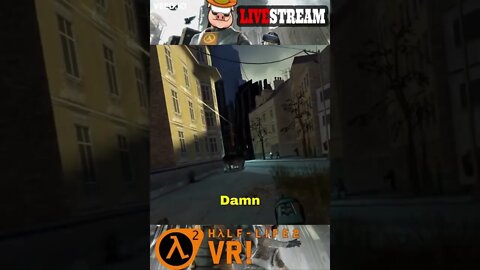 Dog Goes Ham On Some Combine In Half-Life 2 VR!