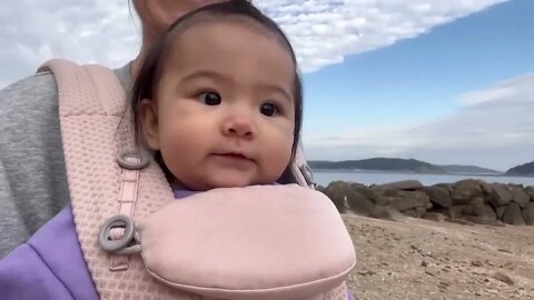 Our Baby And Dogs First Time At Beach Together