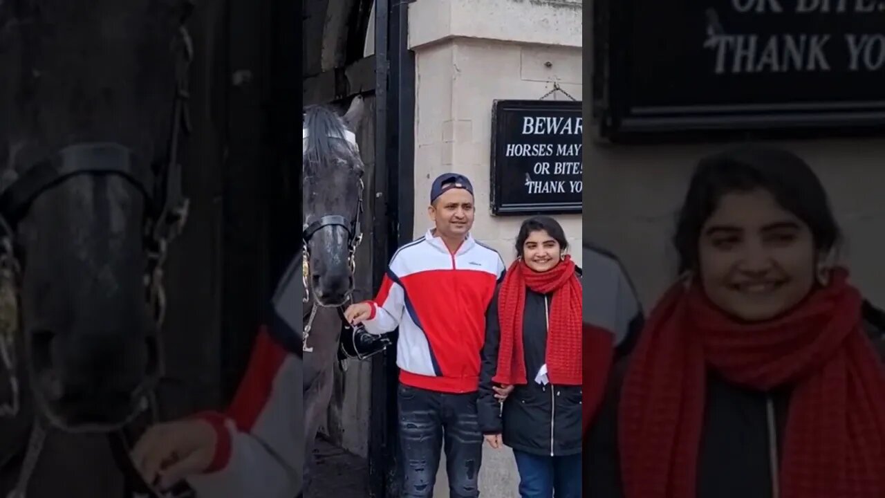 Holding the reins #horseguardsparade