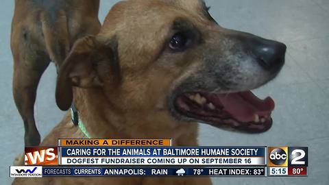 Baltimore Humane Society gives every animal the chance for a healthy life and good home
