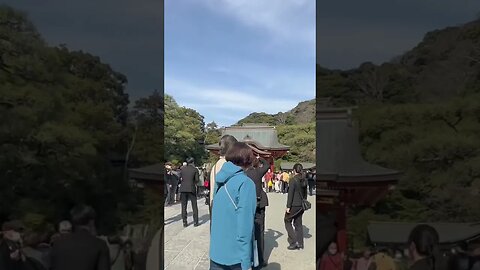 Traditional Japanese wedding (feels like spring!)