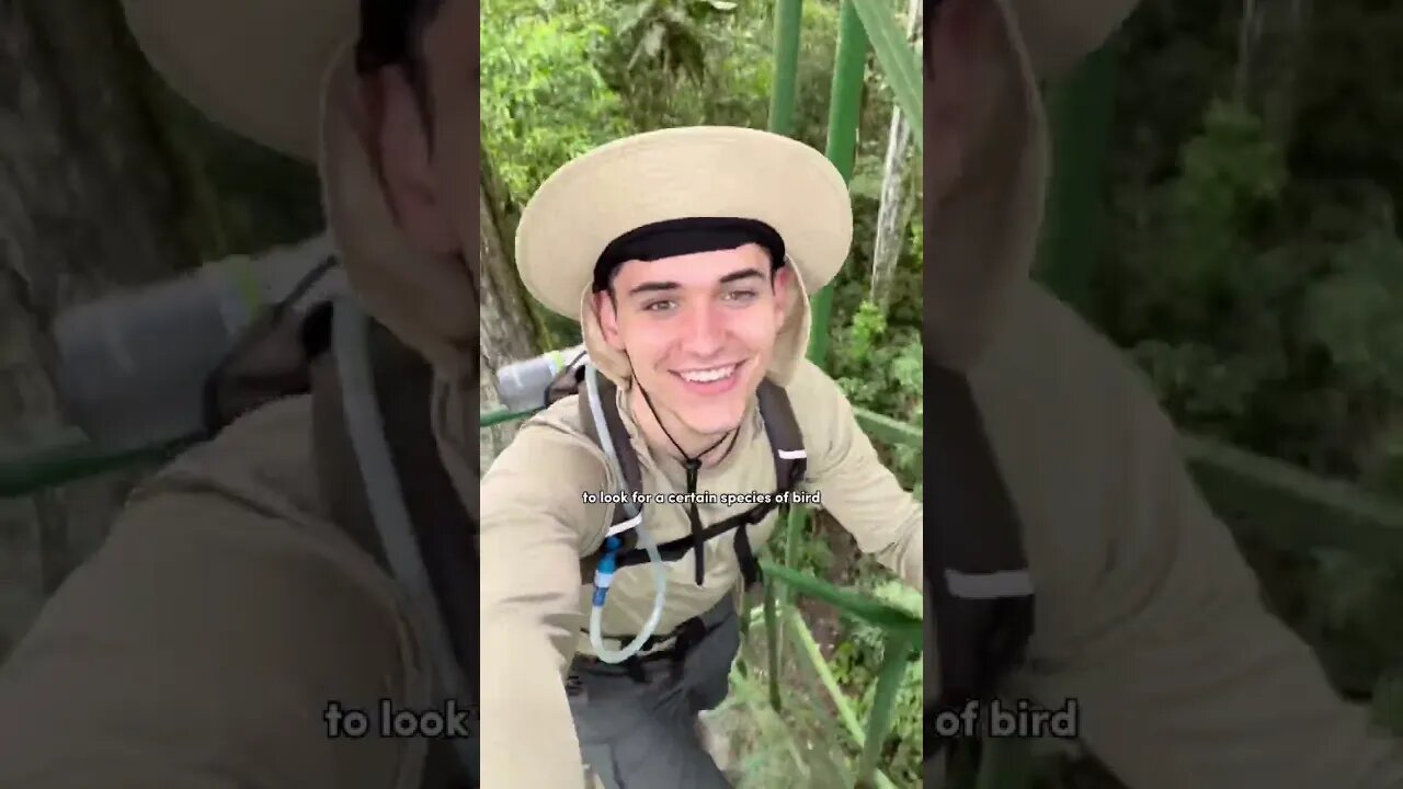 What it’s like working as a Research Assistant in the Amazon Rainforest! ⛈️🐸