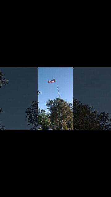 Winds of Change #shorts #america #american #flag