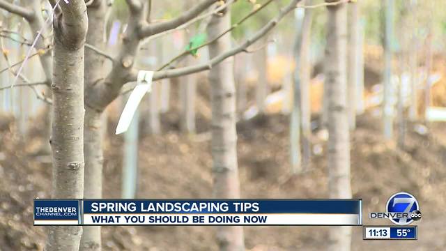 Spring landscaping tips: what you should be doing now