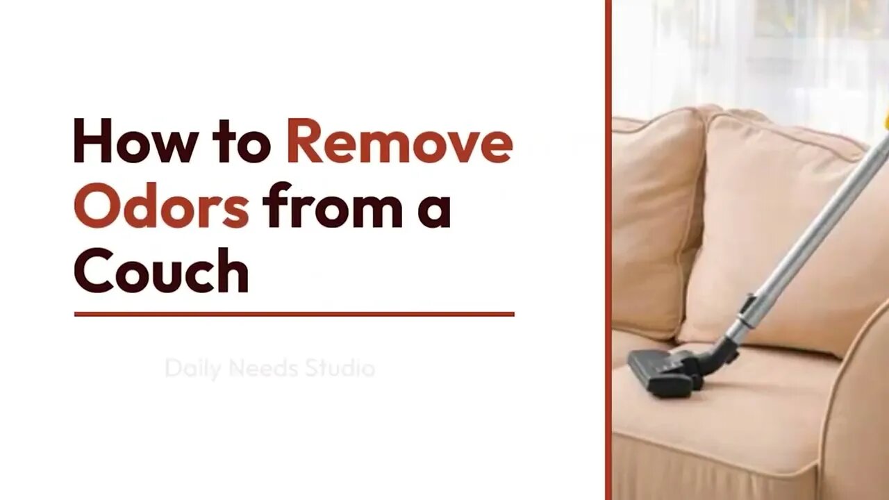 How to Remove Odors from a Couch - Daily Needs Studio