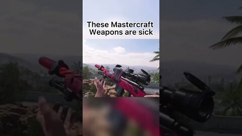 Amazing videos(4)