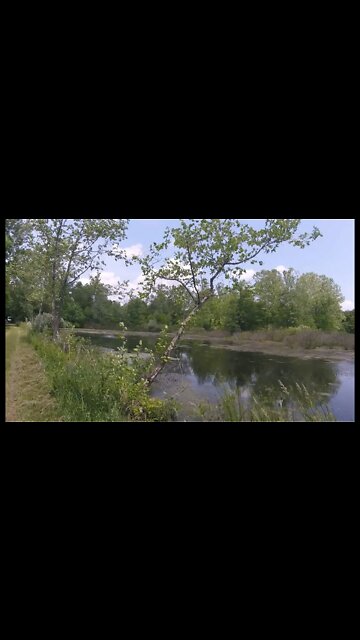 The TNT Area of Point Pleasant West Virginia