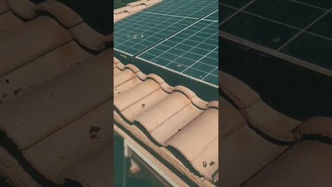 The thing with solar panels, is birds like them as much as we do. #roof #shortvideo #arizona