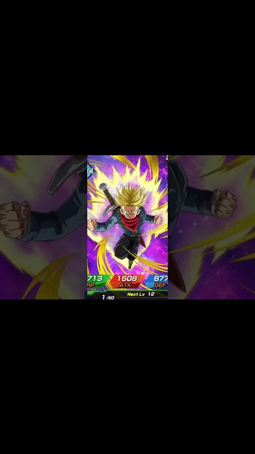 Good Animation, Bad Summon | WW Celebration 2022 Dokkanfest #dragonball #dokkanbattle #dokkan #dbz