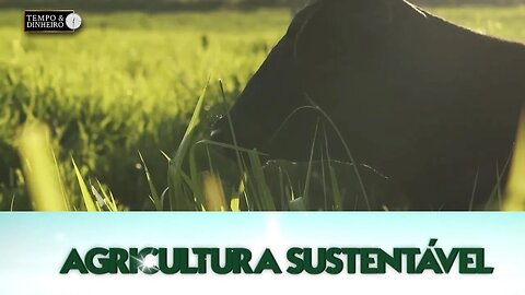 Agricultura Sustentável: Com Frederico Olivi