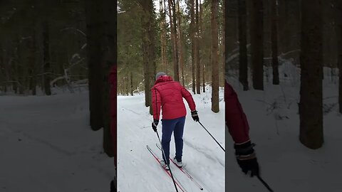 Четверг на лыжах в лесу | второй раз | 09.03.23