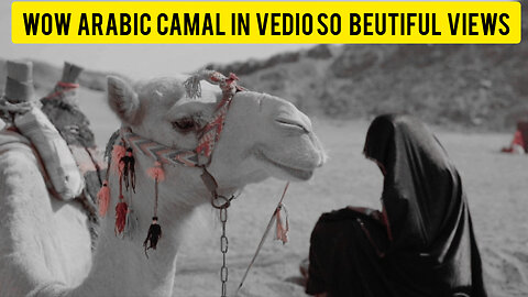 Arabic Camal So Amaizing Look Yeh #Viralrumblevedio