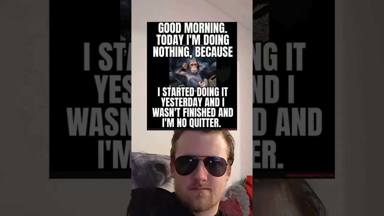Your daily dose of memes