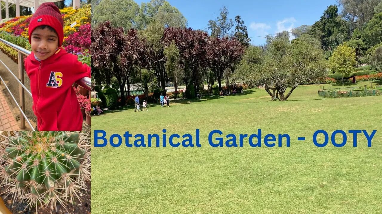Botanical Garden Ooty , India