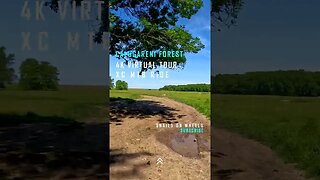 Calugareni Forest | Calugareni, Giurgiu | Ambiental music | 4k Virtual Tour | 🇷🇴