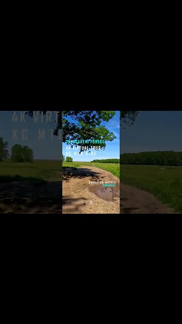 Calugareni Forest | Calugareni, Giurgiu | Ambiental music | 4k Virtual Tour | 🇷🇴