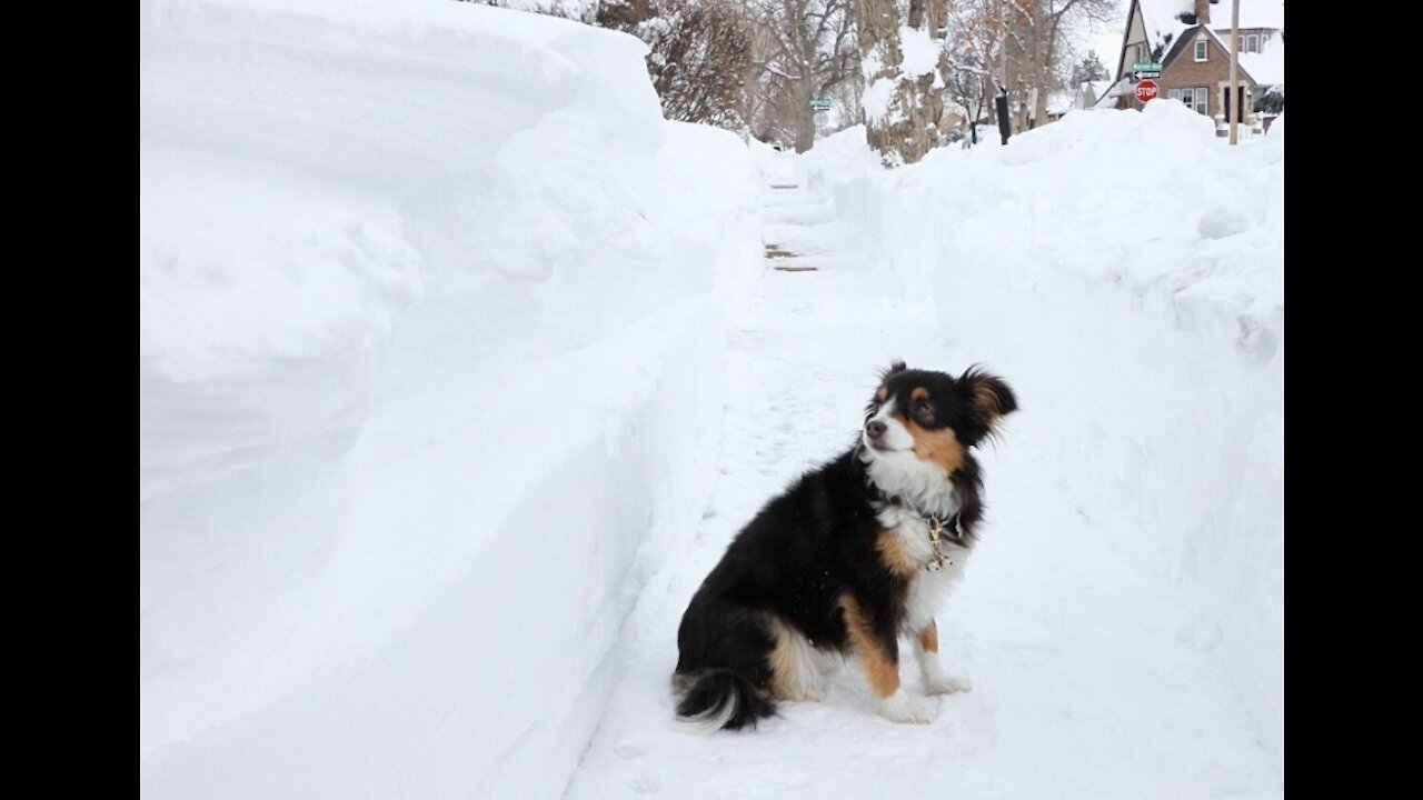 Washington Post Announced The Demise Of Winter - Again