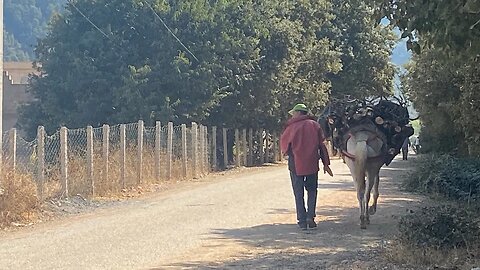 I went to a rural village in the Atlas Mountain | OUED IFRANE قرية واد افران