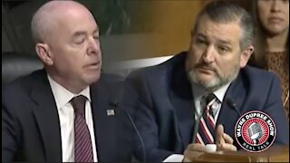 JUST IN: Ted Cruz Interrogates Mayorkas Over 'Biden Cages,' COVID-19 Positive Undocumented Migrants