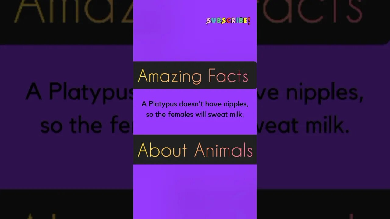 Amazing Facts about Animals