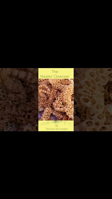 Stanley Burroughs Doesn't Like Honey But I Do