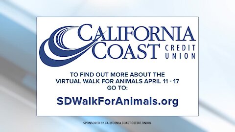 San Diego Humane Society's Annual Walk for Animals is Virtual This Year