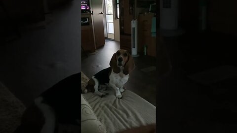 Sadie not being patient ￼