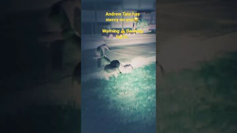 Andrew Tate has mercy on you.