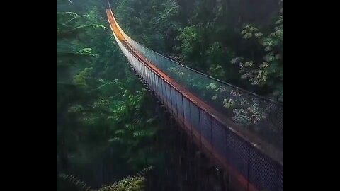Suspension Bridge
