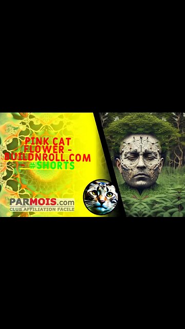 pink cat flower - BuildNRoll.com - #shorts