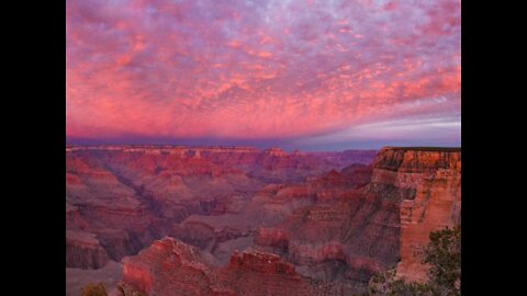 PINK SNAKES! Weird things about the Grand Canyon - ABC15 Digital