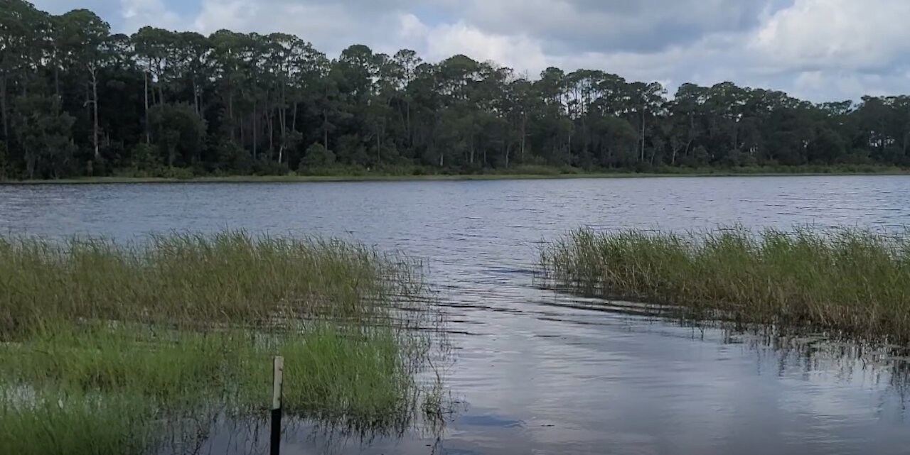 Boondocking sites in Ocala National Forest in Central Florida