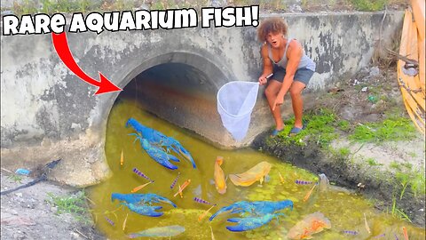 I Found A HIDDEN TUNNEL Filled With RARE AQUARIUM FISH!